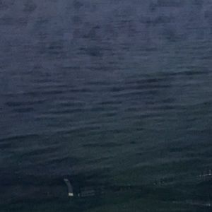 Meet your Posher, Alice